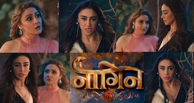 Naagin 6: Latest Serial Gossip! Urvashi and Mehek are rivals!
